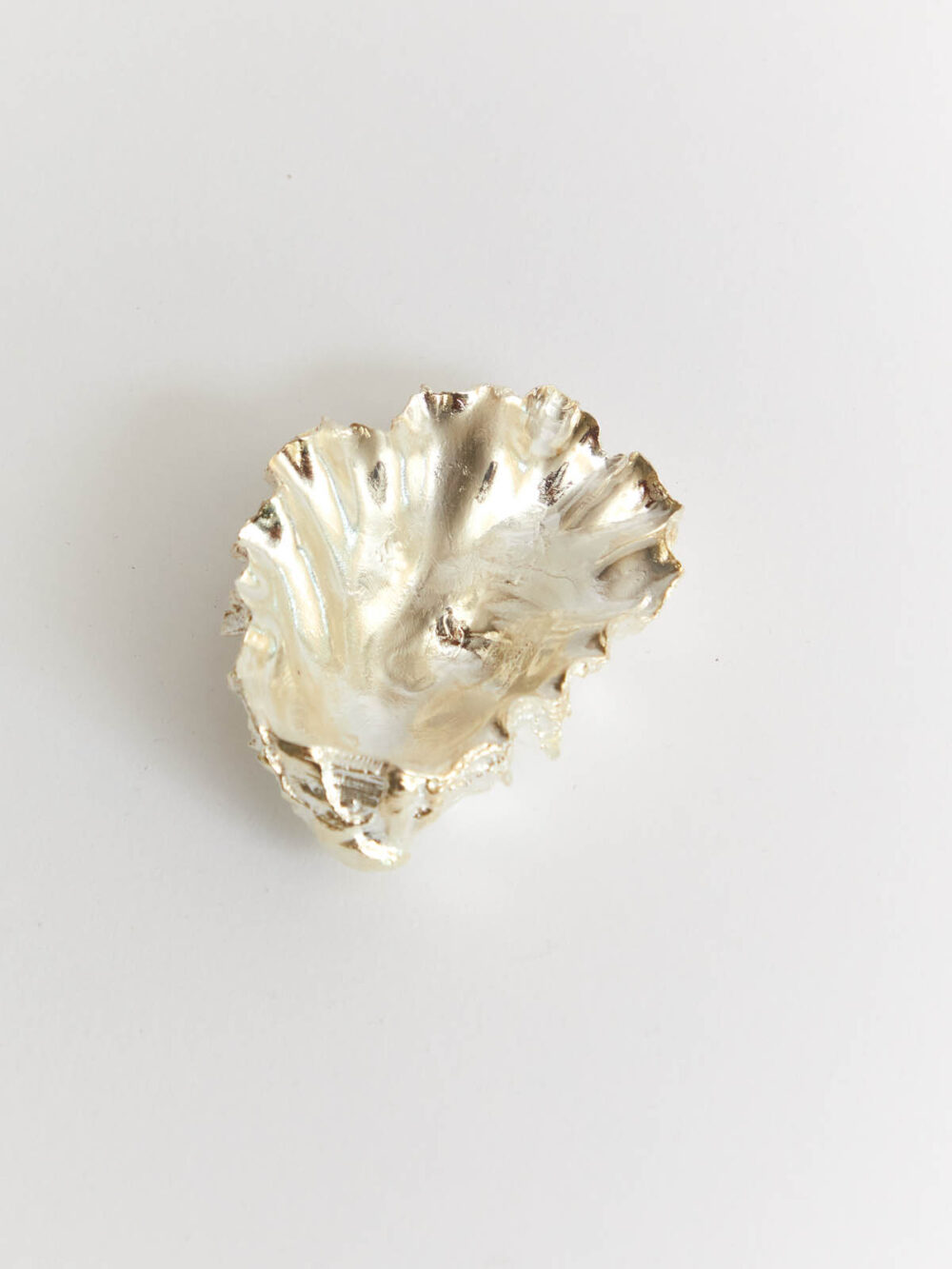 Silver & White Bronze Oyster Shell small by Leiger on white background